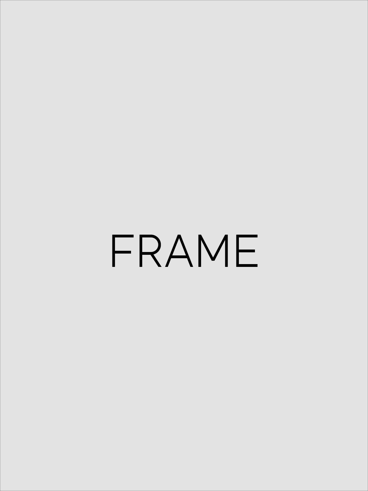 FRAME