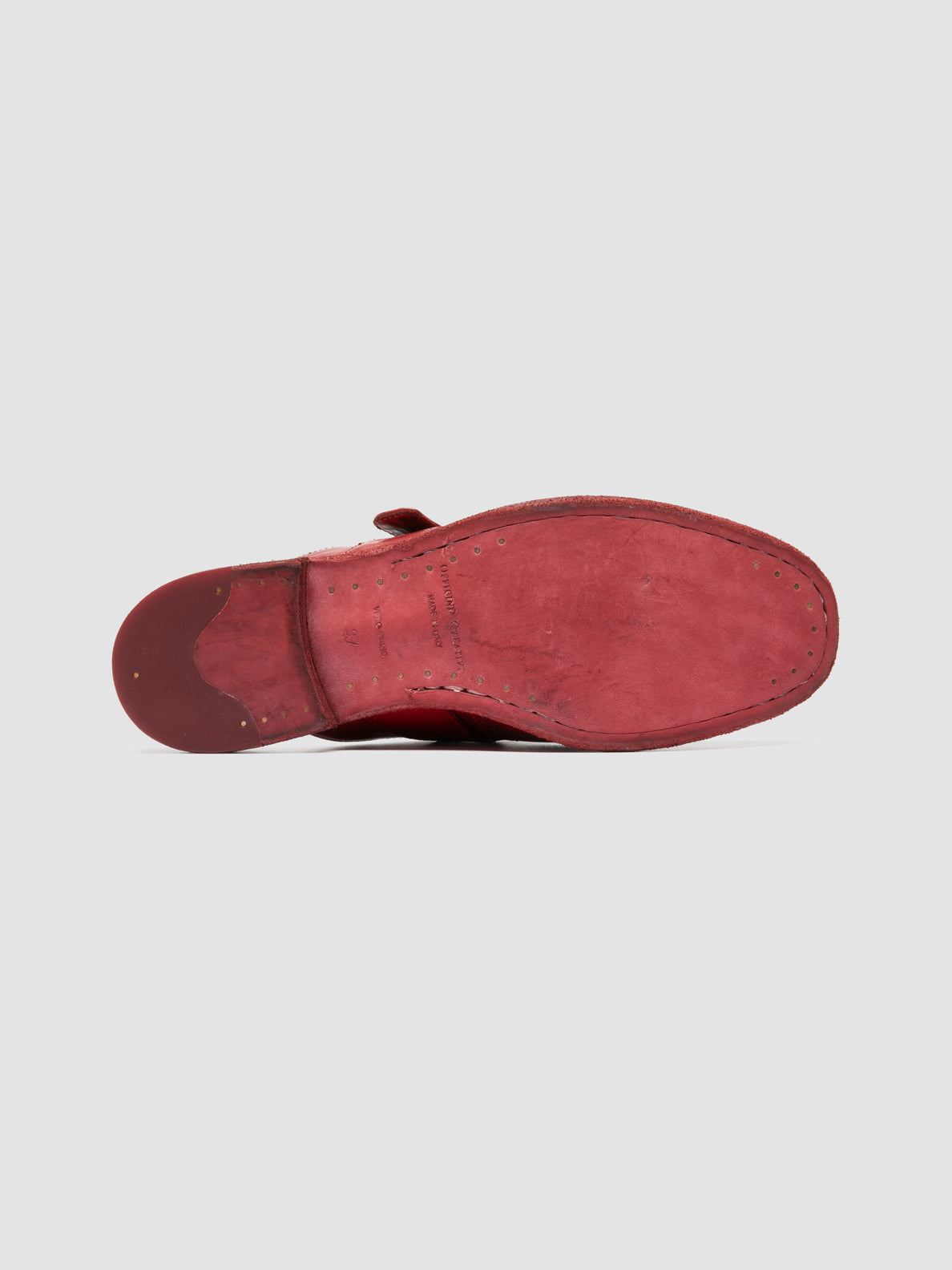 KALLIOPI/007 IGNIS T. RED DHALIA