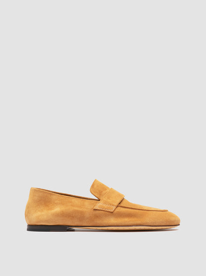 BLAIR/001 COCO VICUNA
