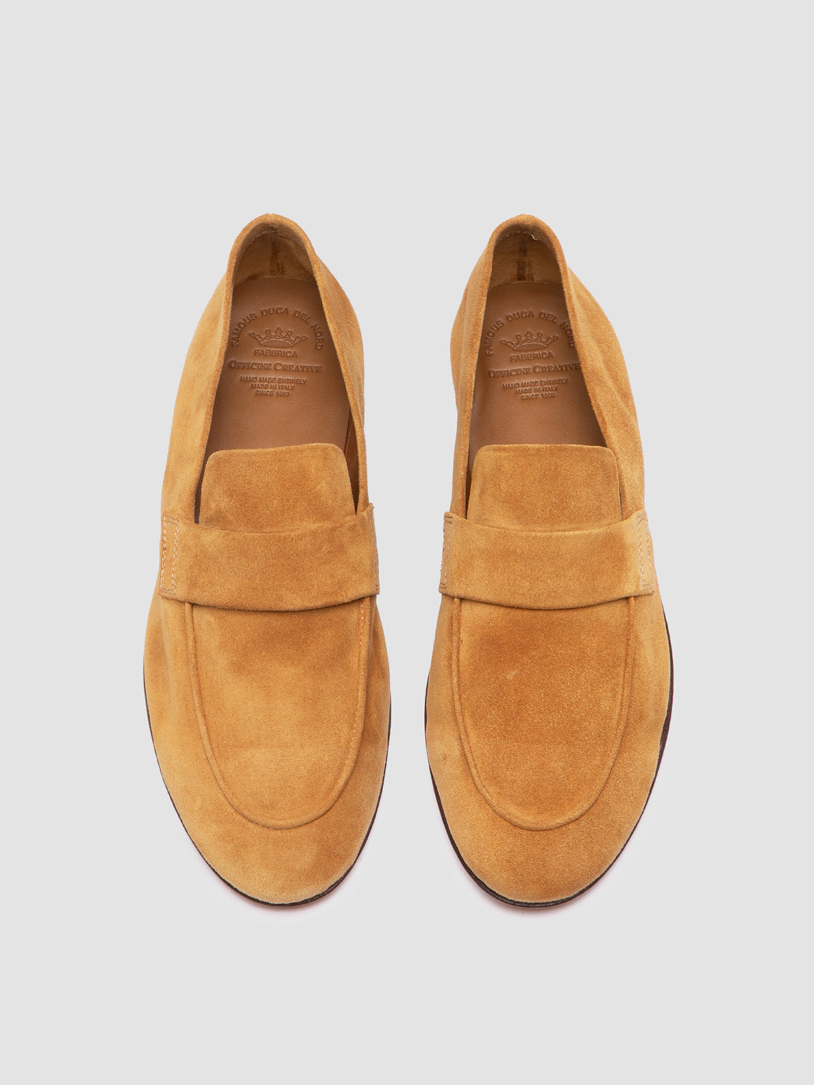 BLAIR/001 COCO VICUNA