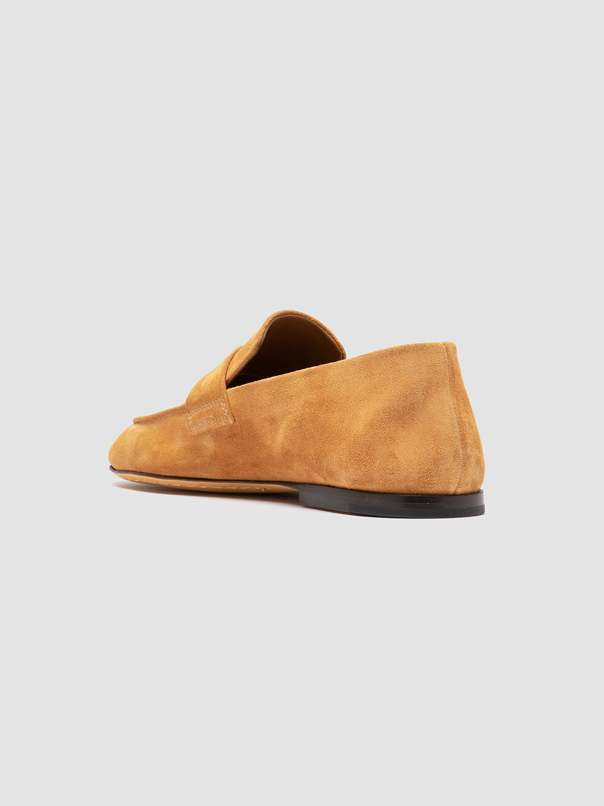 BLAIR/001 COCO VICUNA