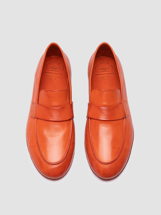 BLAIR DD/001 IGNIS T. RUSSET
