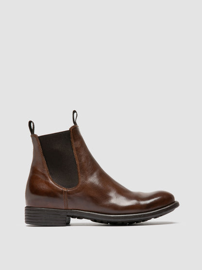 CALIXTE/004 IGNIS T. CIGAR