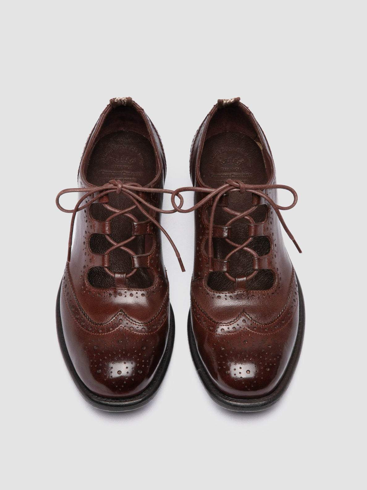 CALIXTE/084 IGNIS T. OTTO
