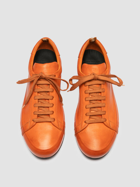 EASY DD/001 IGNIS T. RUSSET