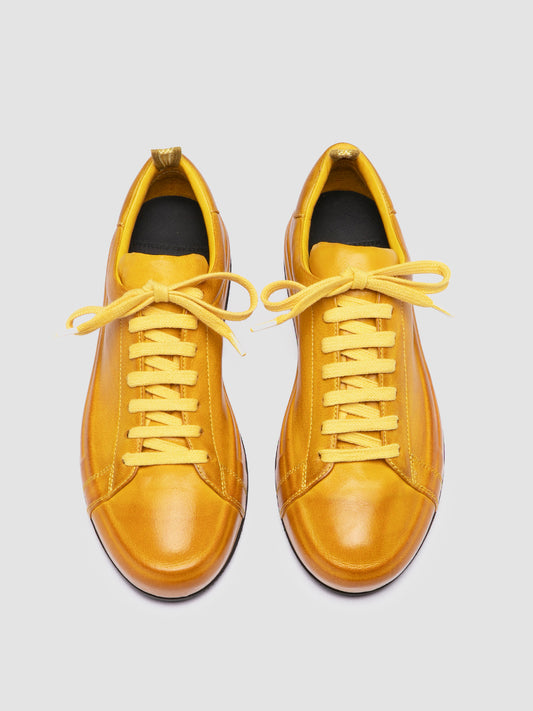 EASY DD/101 IGNIS T. MUSTARD