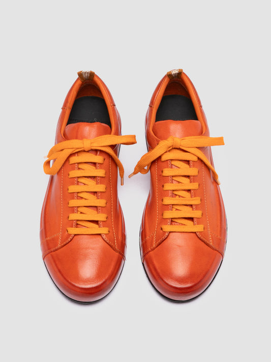 EASY DD/101 IGNIS T. RUSSET