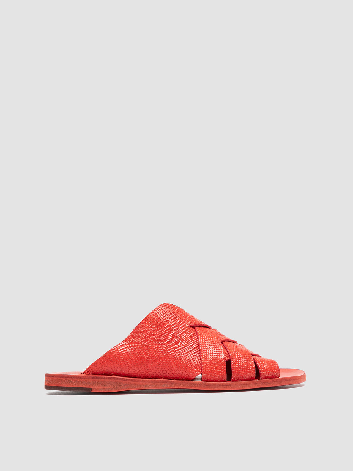 ITACA/049 REPTILIS ROSSO