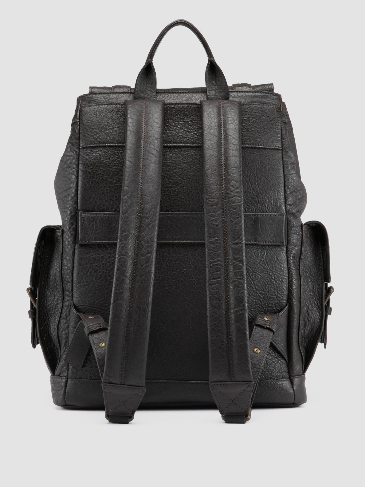 BOSTONIAN/003 SAURUS TESTA DI MORO