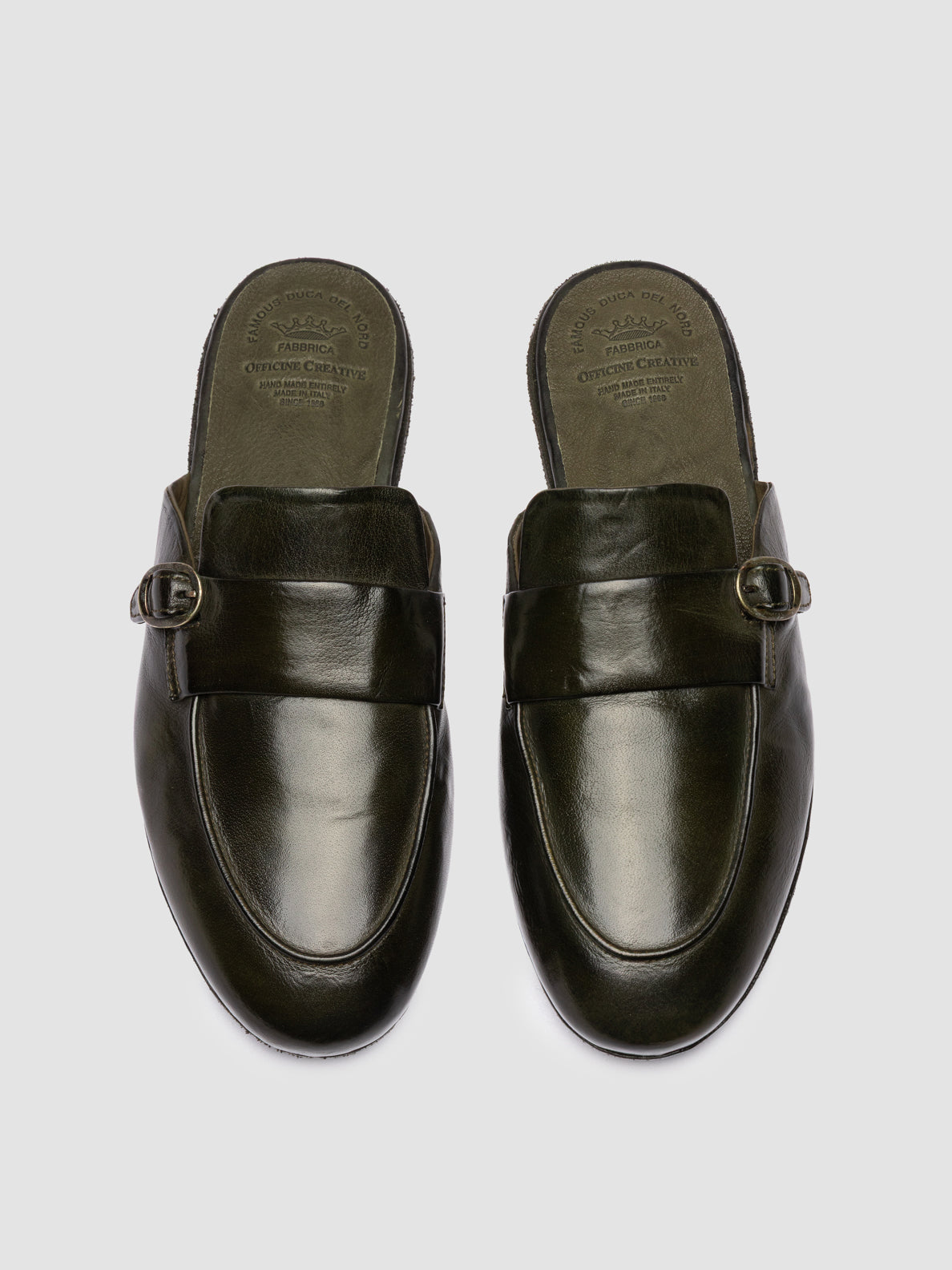 BLAIR DD/004 IGNIS T. OLIVE