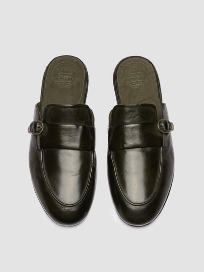 BLAIR DD/004 IGNIS T. OLIVE
