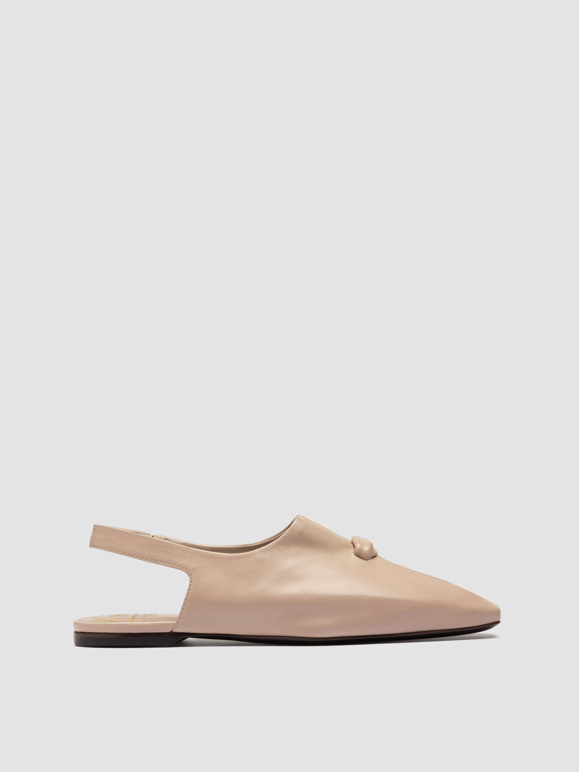 CARMEN/003 GUANTERIA HUMUS