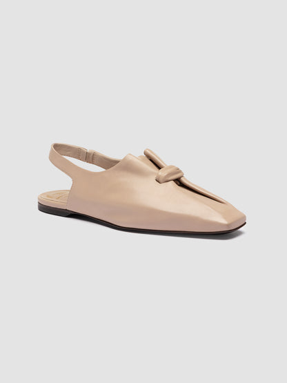 CARMEN/003 GUANTERIA HUMUS