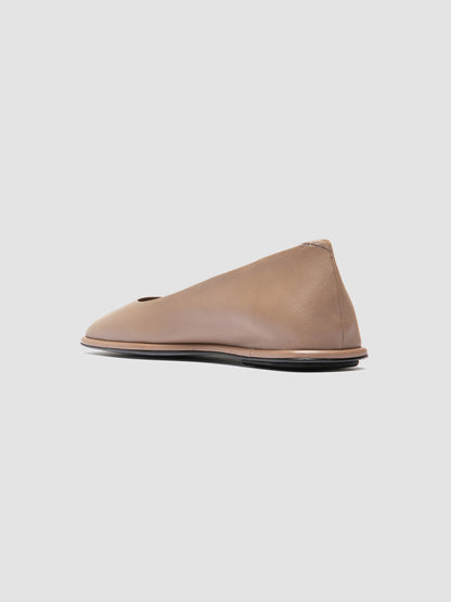 CLOVER/003 GUANTERIA LEAD