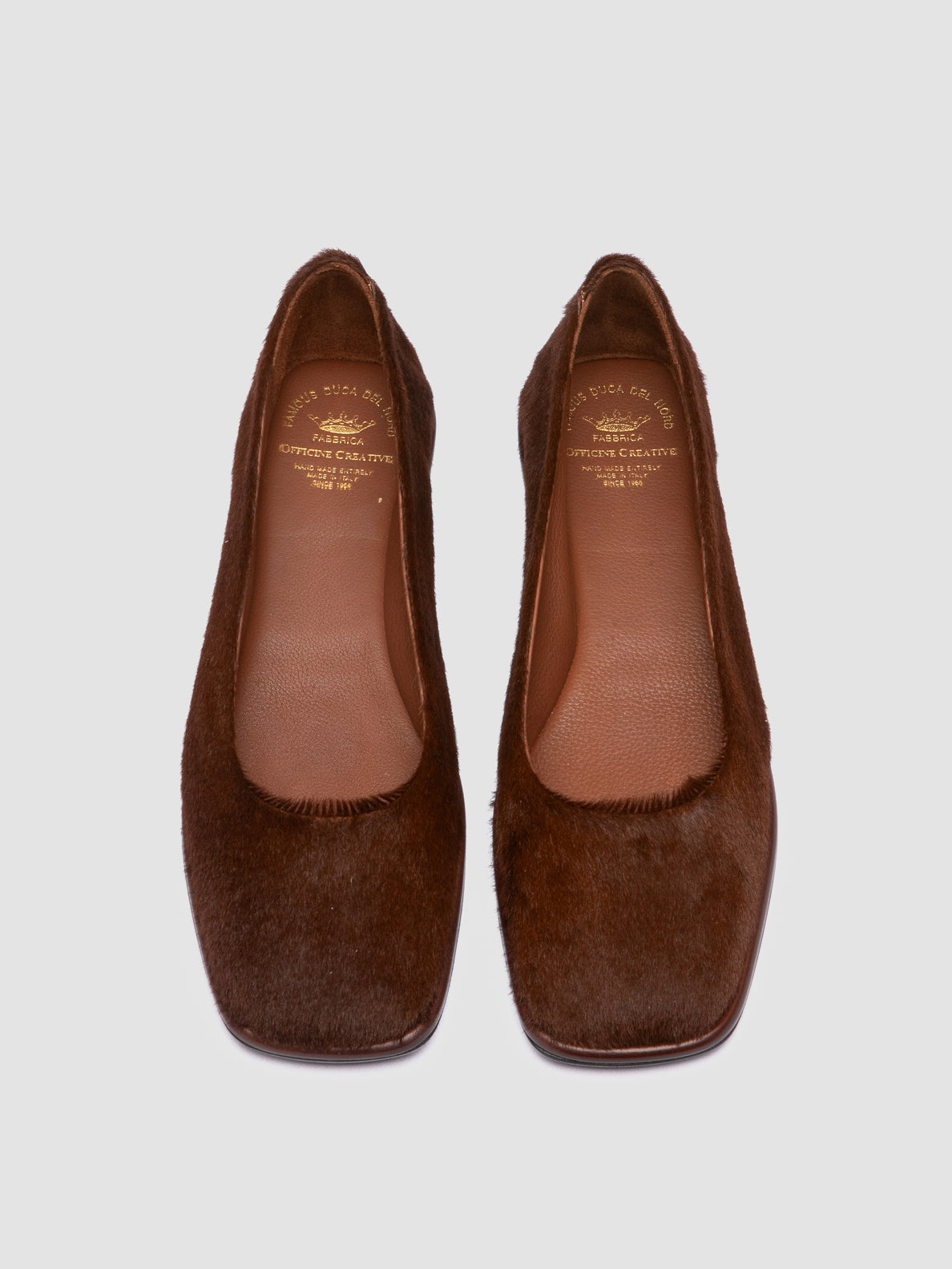 CLOVER/008_W KEBIR CARAMELLO