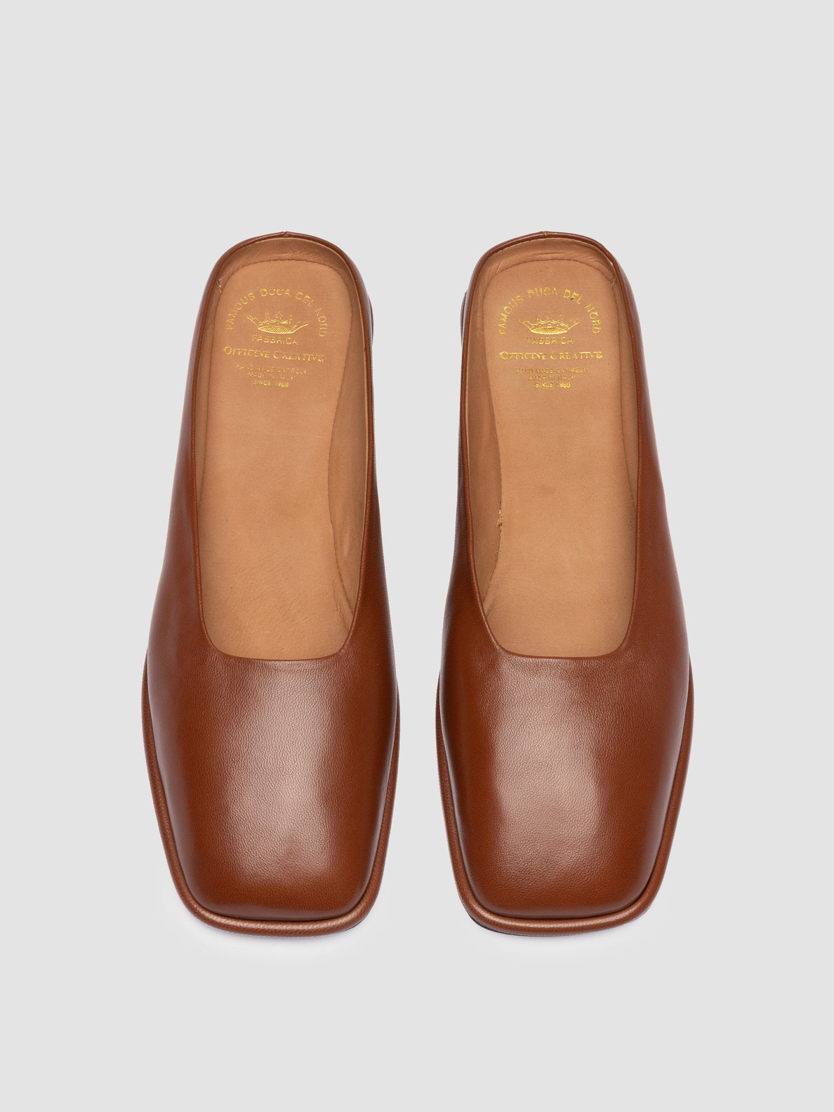 CLOVER/013 GUANTERIA TOFFEE