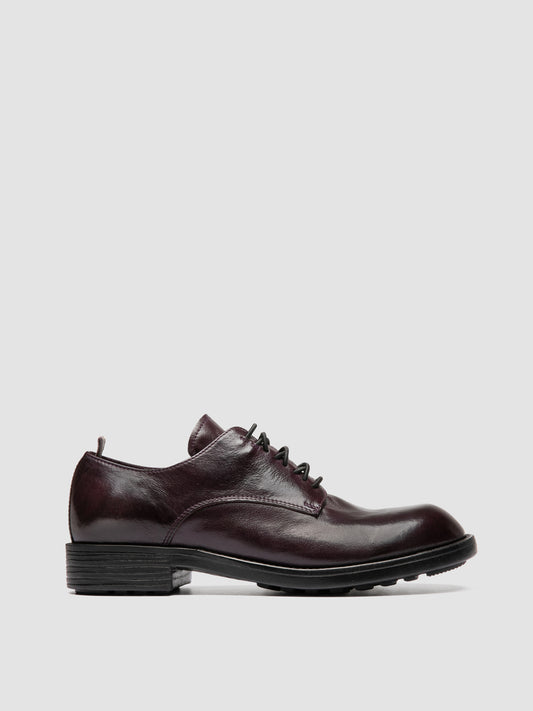 DIARY/105 IGNIS T. BERRY