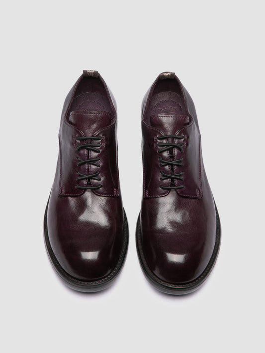 DIARY/105 IGNIS T. BERRY