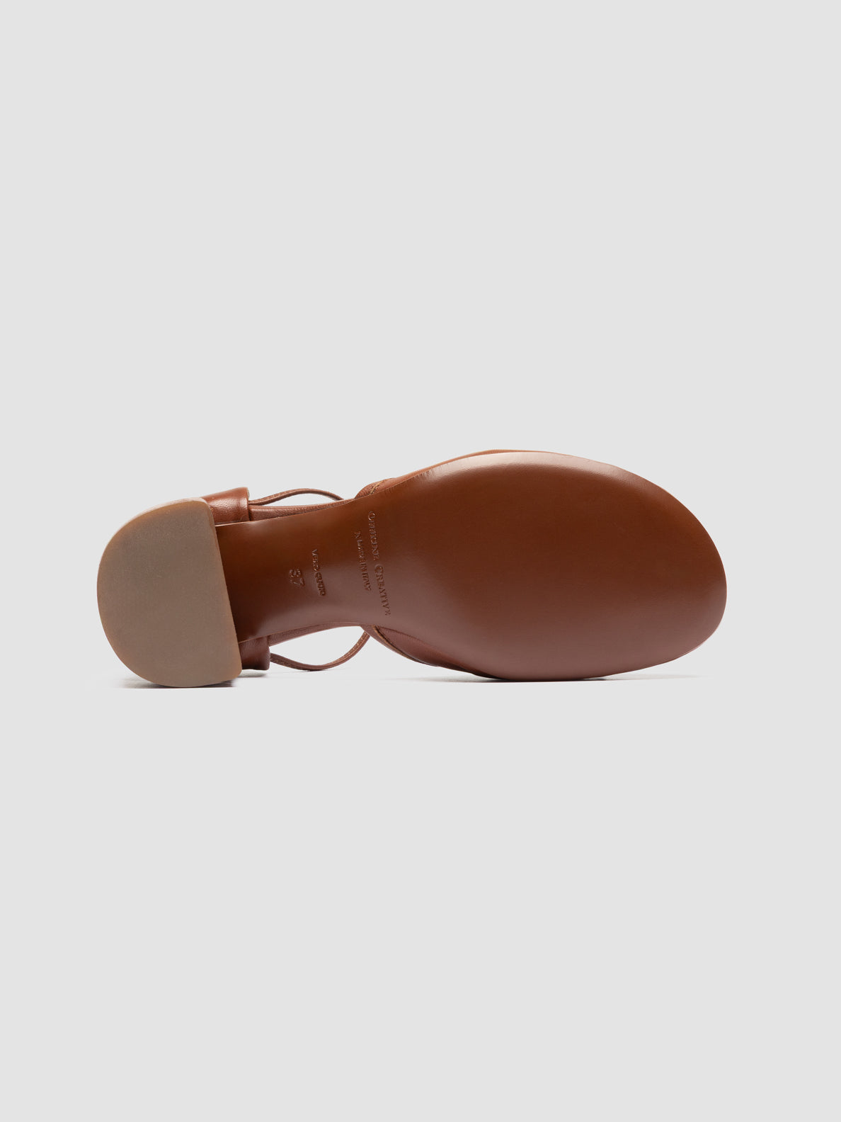 FLORE/023 GUANTERIA TOFFEE