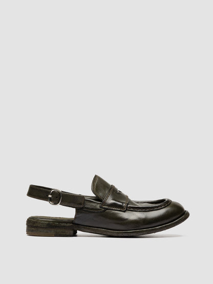 KALLIOPI/012 IGNIS T. OLIVE