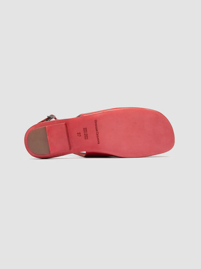 MEREDITH/001 GUANTERIA RED DHALIA