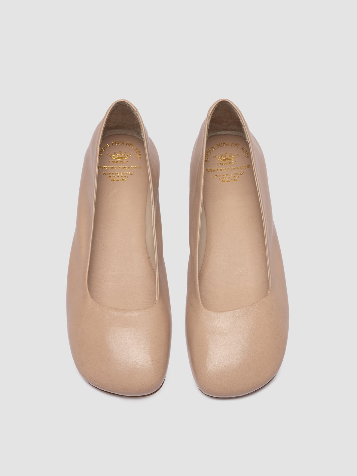 MEREDITH/003 GUANTERIA HUMUS