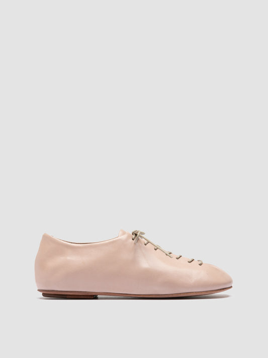 MEREDITH/004 GUANTERIA HUMUS