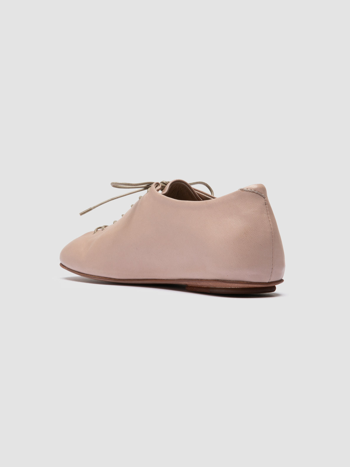 MEREDITH/004 GUANTERIA HUMUS