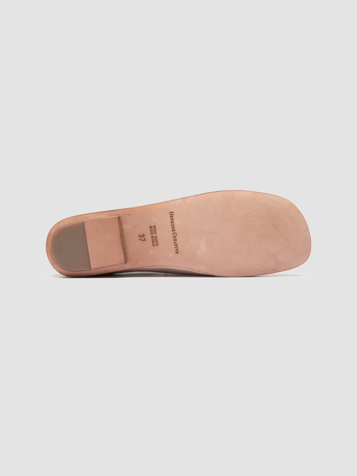MEREDITH/004 GUANTERIA HUMUS