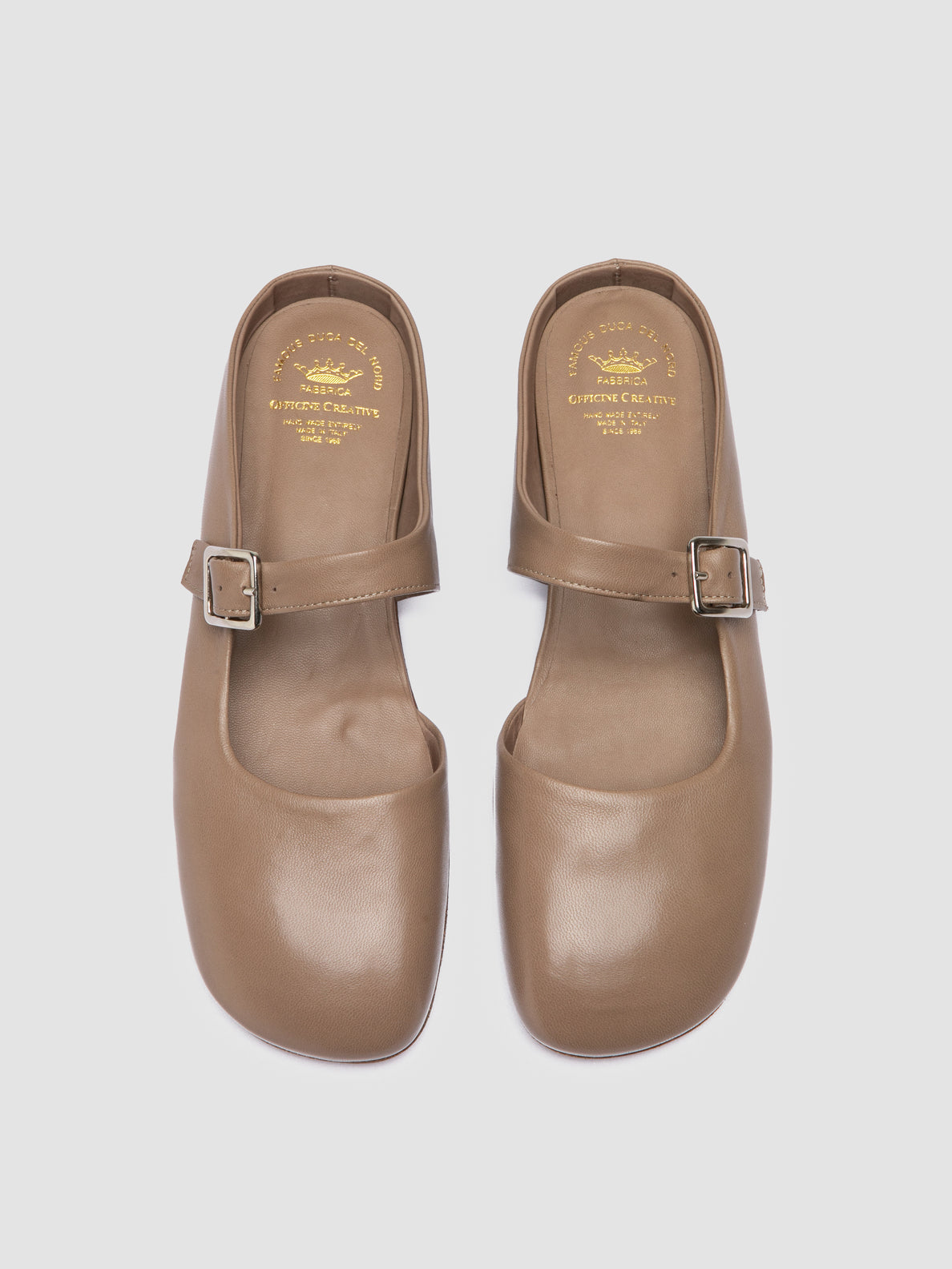MEREDITH/005 GUANTERIA LEAD