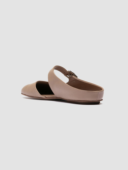 MEREDITH/005 GUANTERIA LEAD