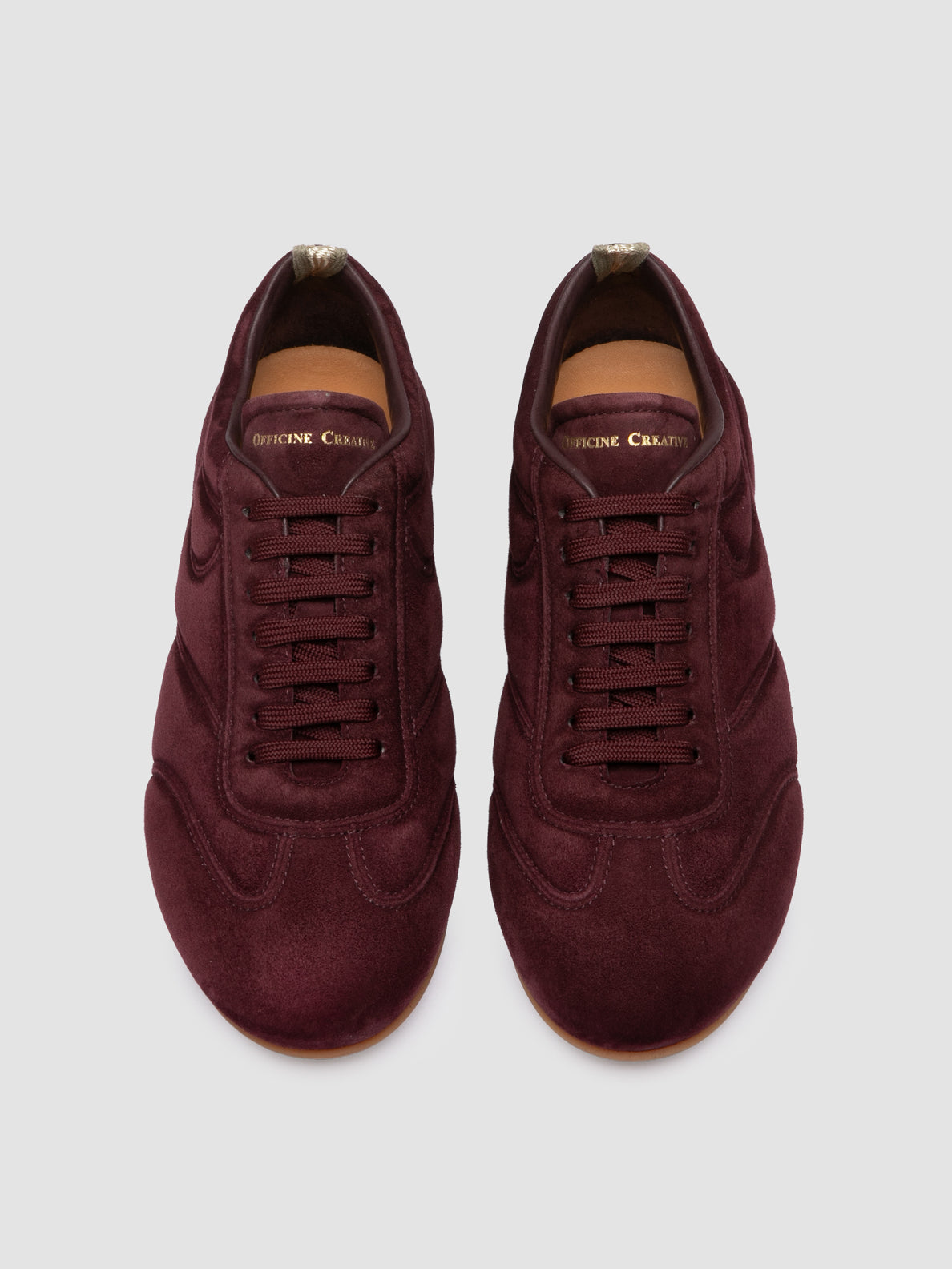 PAD/101 ROOSTER BORDOLESE_F.DO MIELE C.