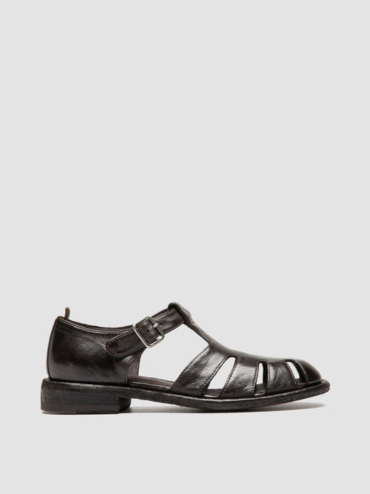 RUGGED/121 IGNIS T. EBANO
