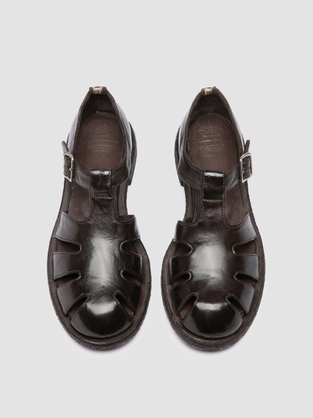 RUGGED/121 IGNIS T. EBANO
