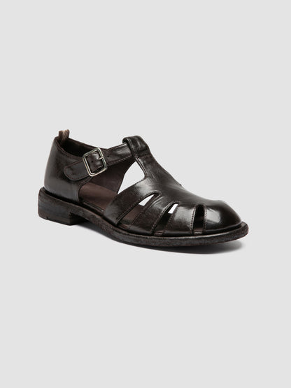 RUGGED/121 IGNIS T. EBANO