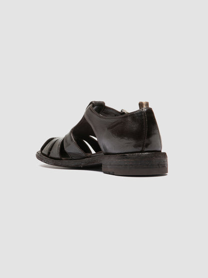 RUGGED/121 IGNIS T. EBANO