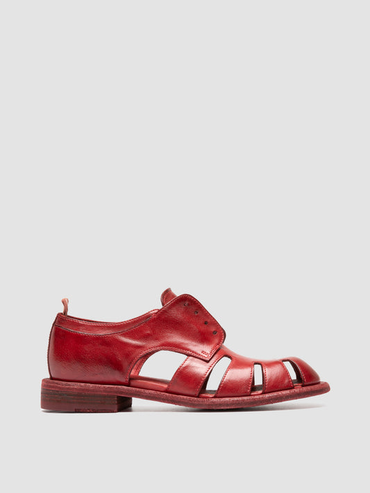 RUGGED/122 IGNIS T. RED DHALIA