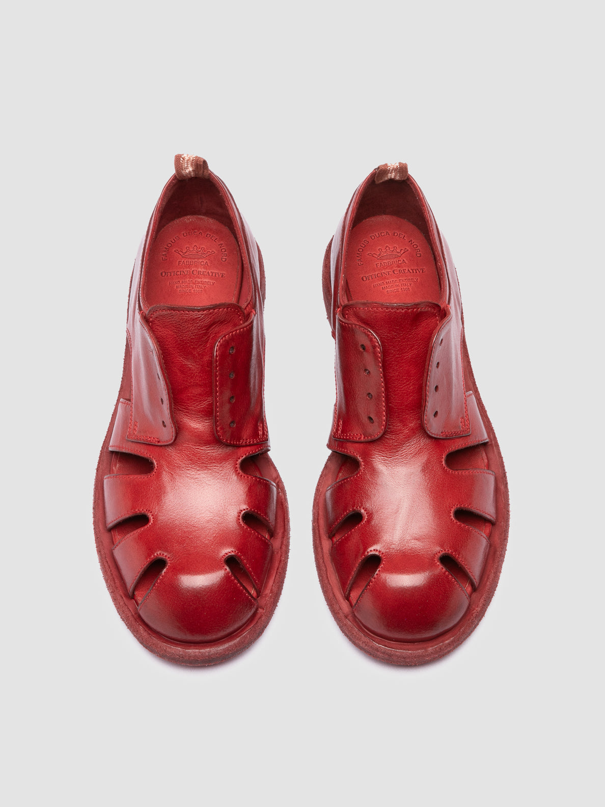 RUGGED/122 IGNIS T. RED DHALIA