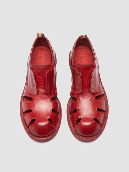 RUGGED/122 IGNIS T. RED DHALIA