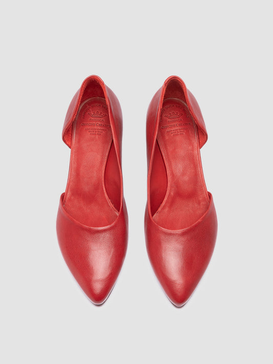 SALLY/036 IGNIS RED DHALIA