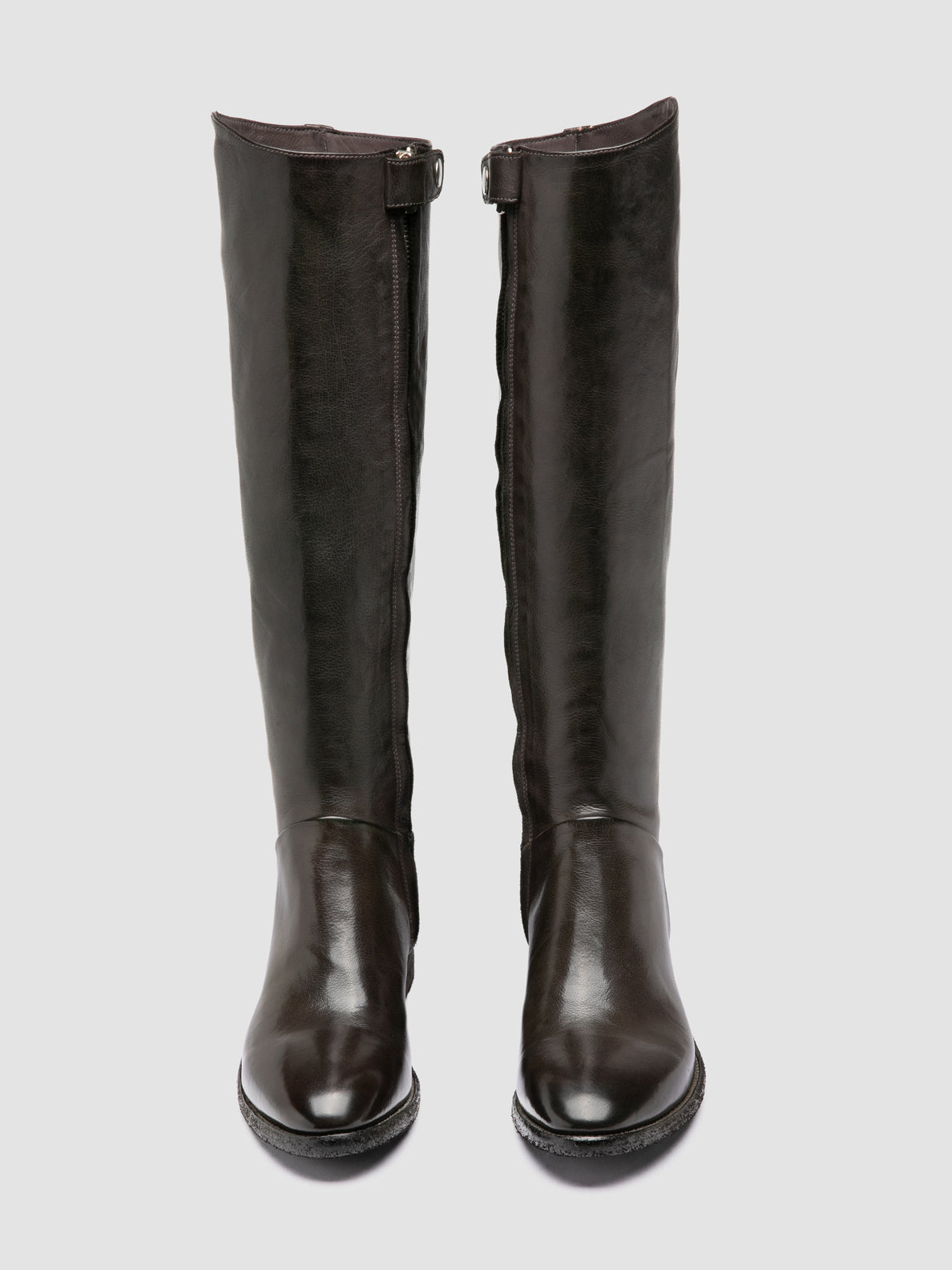 SELINE/039 IGNIS T. PLUMBEO