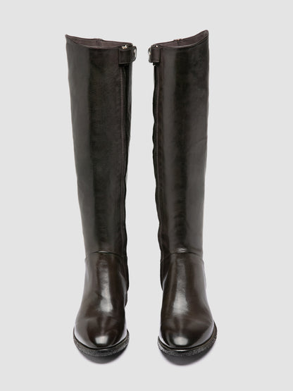 SELINE/039 IGNIS T. PLUMBEO