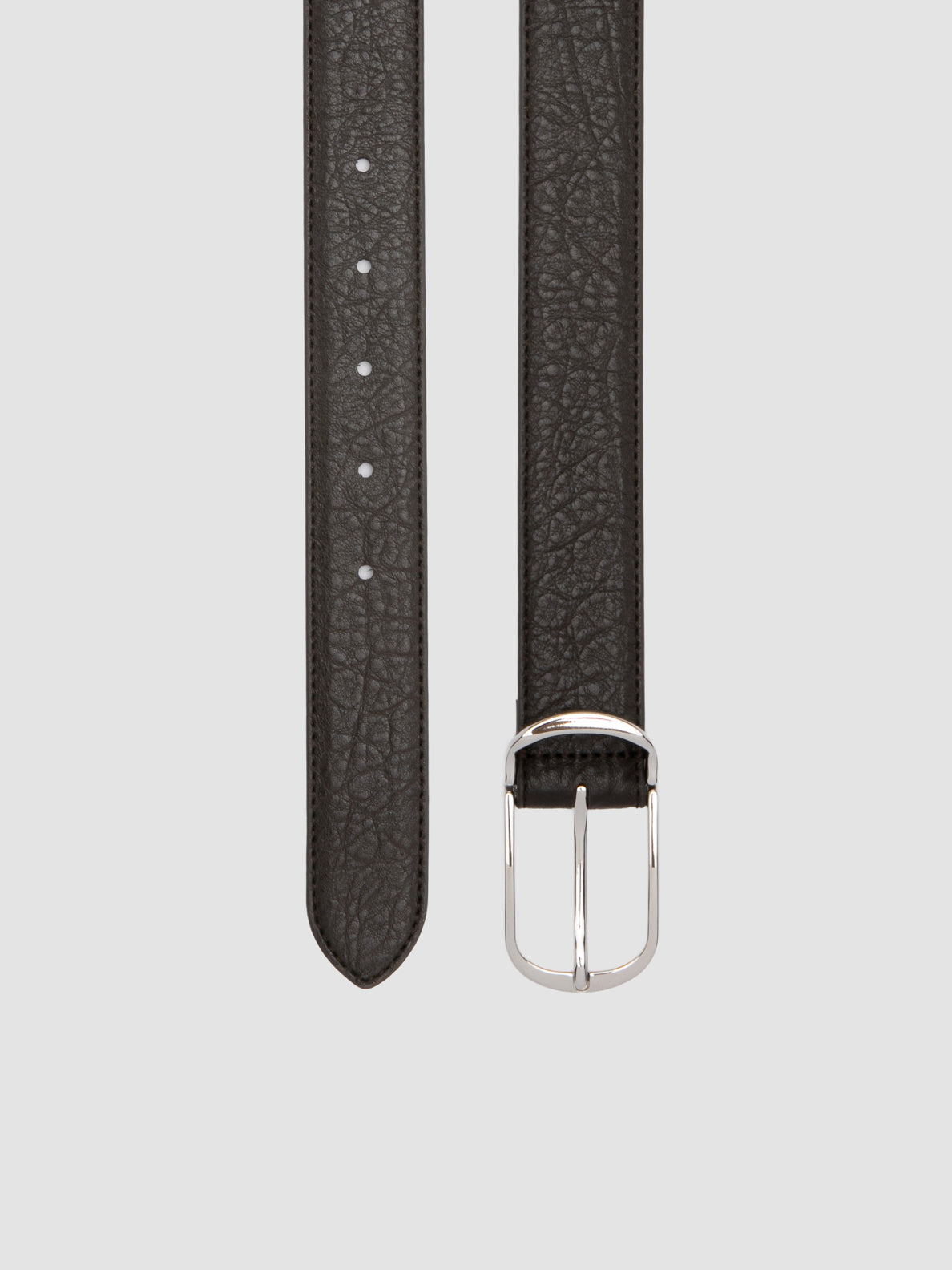 OC STRIP/117 SAURUS TESTA DI MORO