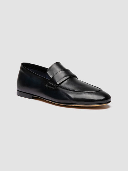 AIRTO/001 AERO BUFALO V. NAVY