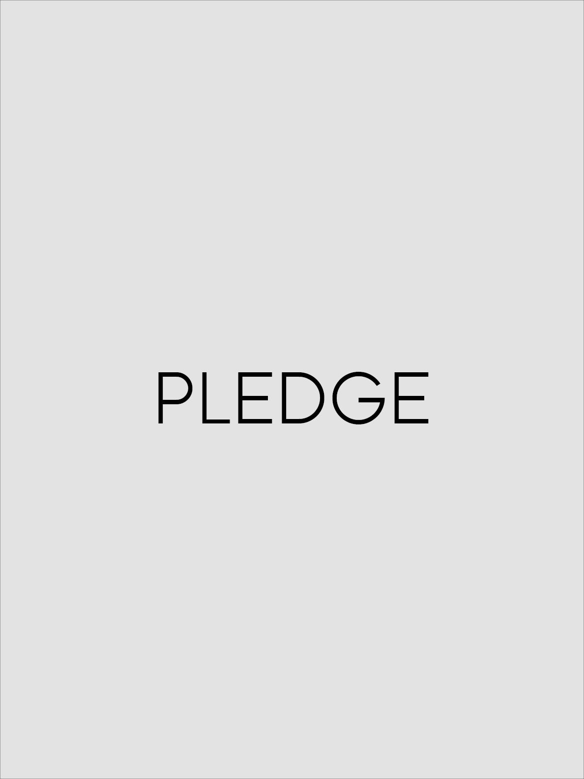 PLEDGE