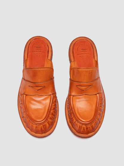 RUGGED/102 IGNIS T. RUSSET