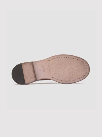 RUGGED/106 IGNIS T. HUMUS