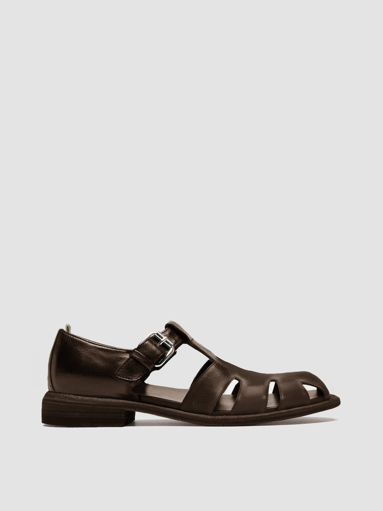 RUGGED/121 IGNIS T. EBANO