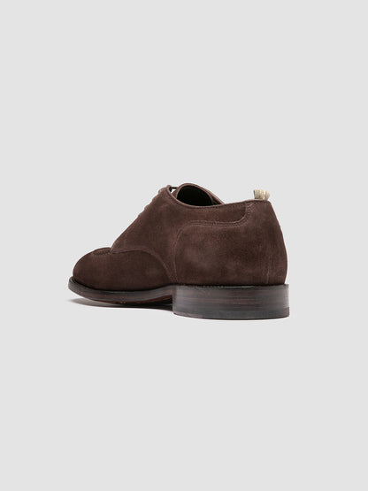SIGNATURE/005 PAPILLON TESTA DI MORO