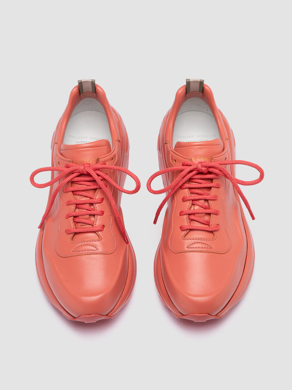 SPHYKE/303 LILLE TONAL BLUSH